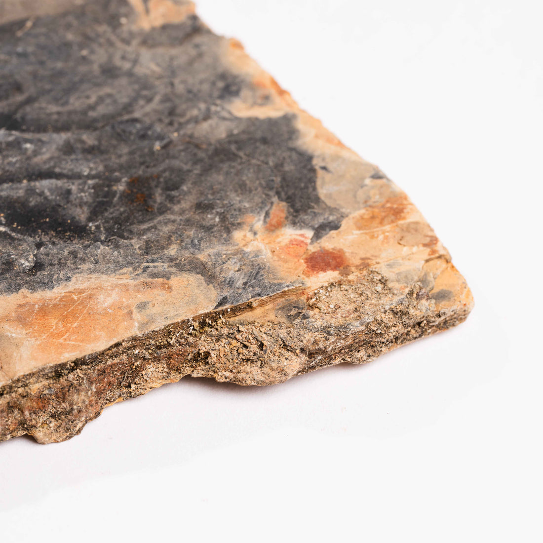 Slaty Shale Record - Earth Love Gallery Collection
