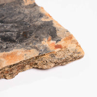 Slaty Shale Record - Earth Love Gallery Collection