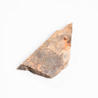 Slaty Shale Record - Earth Love Gallery Collection
