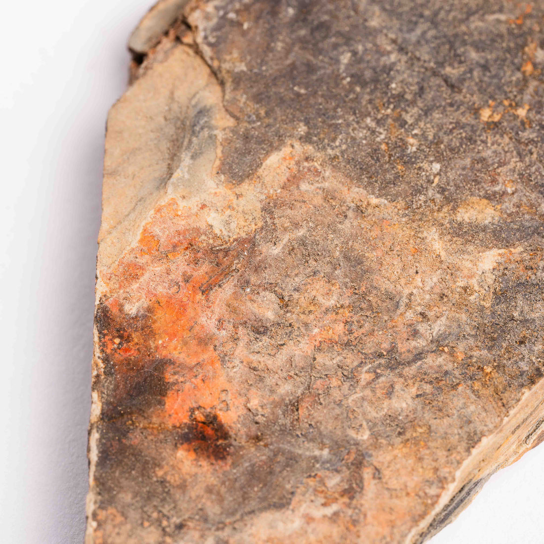 Slaty Shale Record - Earth Love Gallery Collection