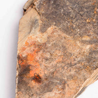 Slaty Shale Record - Earth Love Gallery Collection