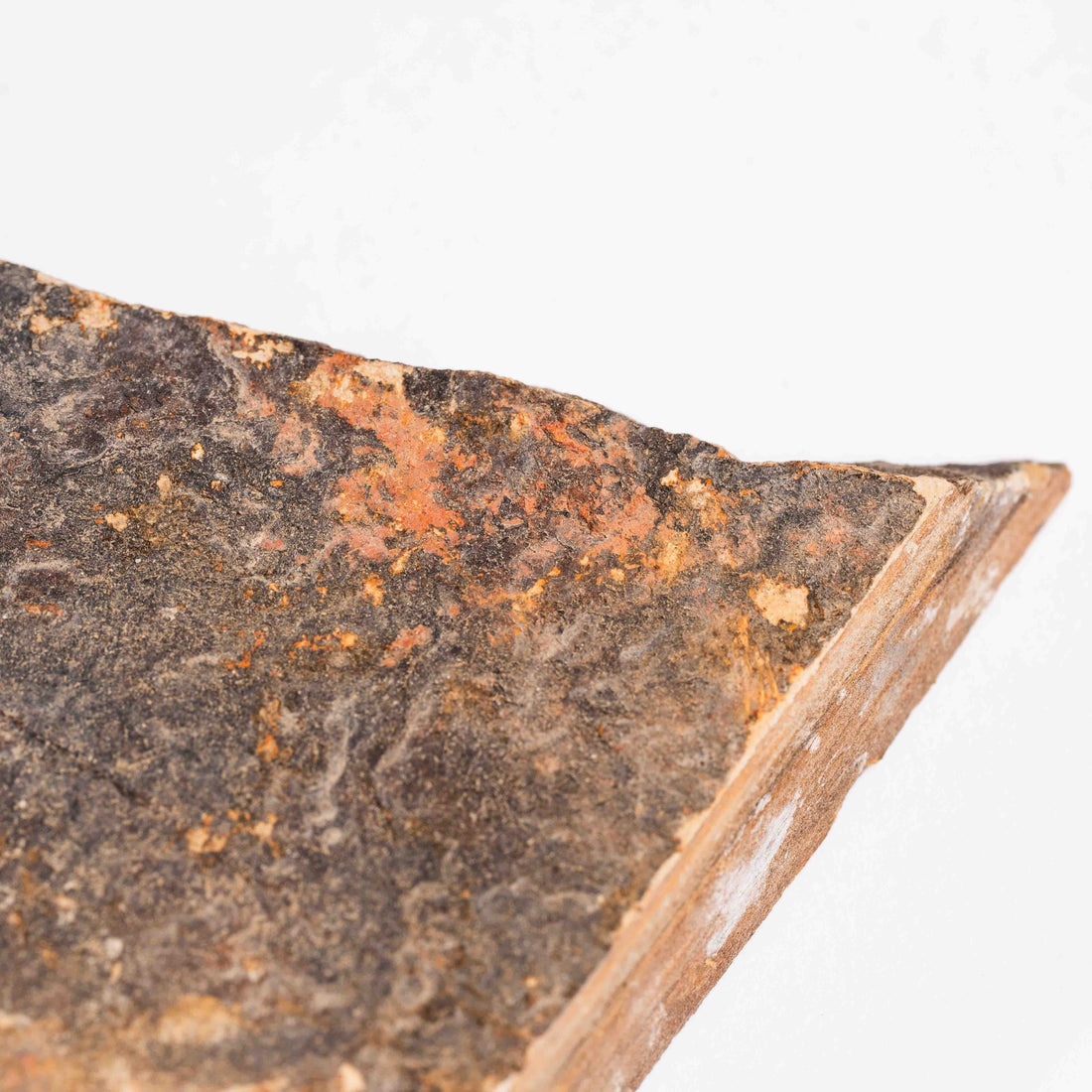 Slaty Shale Record - Earth Love Gallery Collection