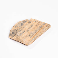 Slaty Shale Record - Earth Love Gallery Collection