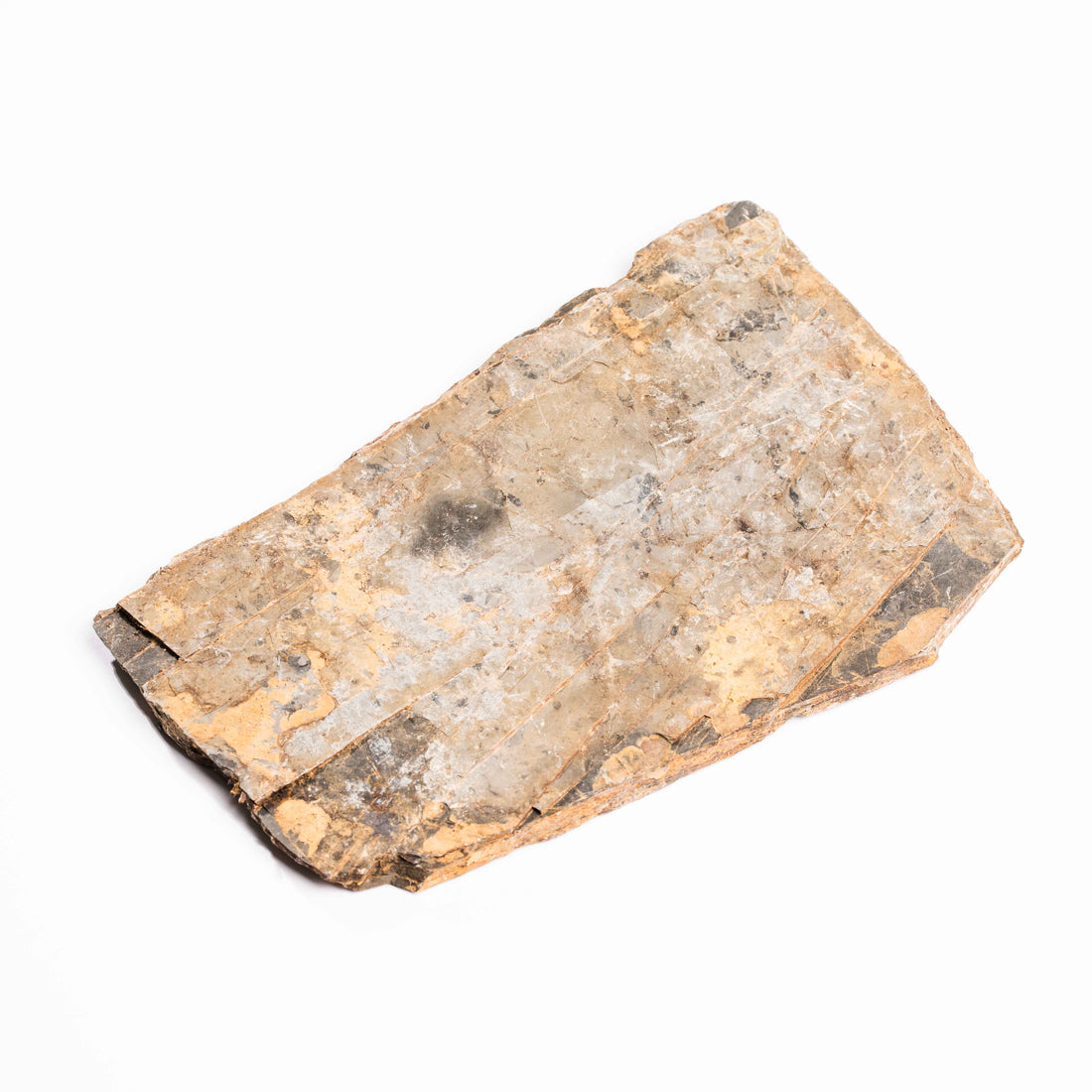 Slaty Shale Record - Earth Love Gallery Collection