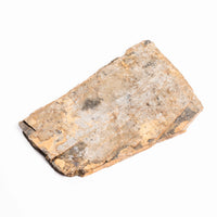 Slaty Shale Record - Earth Love Gallery Collection