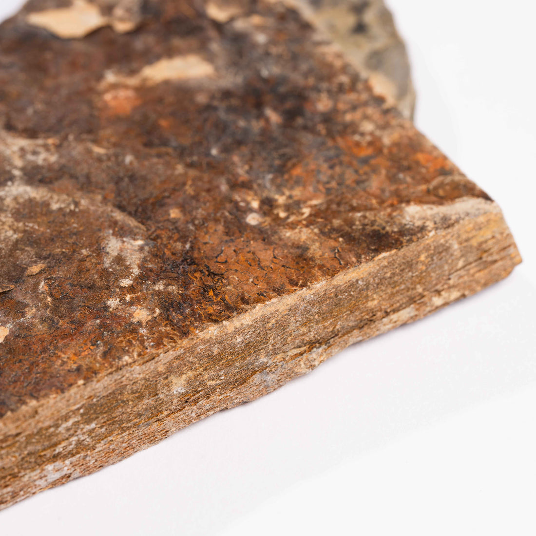 Slaty Shale Record - Earth Love Gallery Collection
