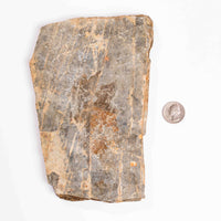 Slaty Shale Record - Earth Love Gallery Collection