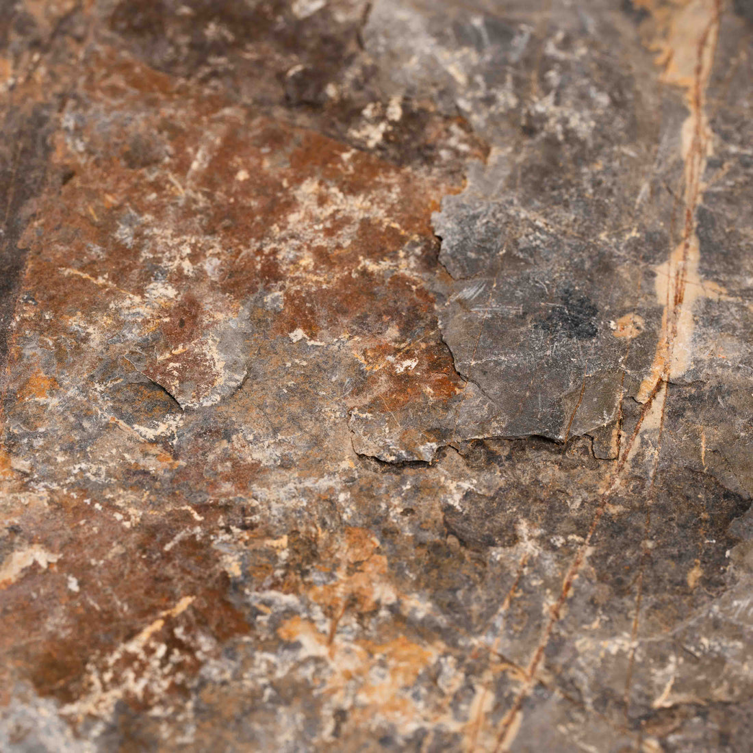 Slaty Shale Record - Earth Love Gallery Collection