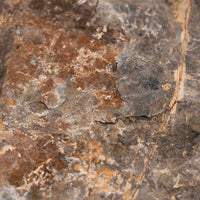 Slaty Shale Record - Earth Love Gallery Collection