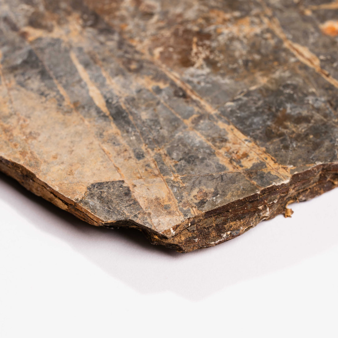 Slaty Shale Record - Earth Love Gallery Collection