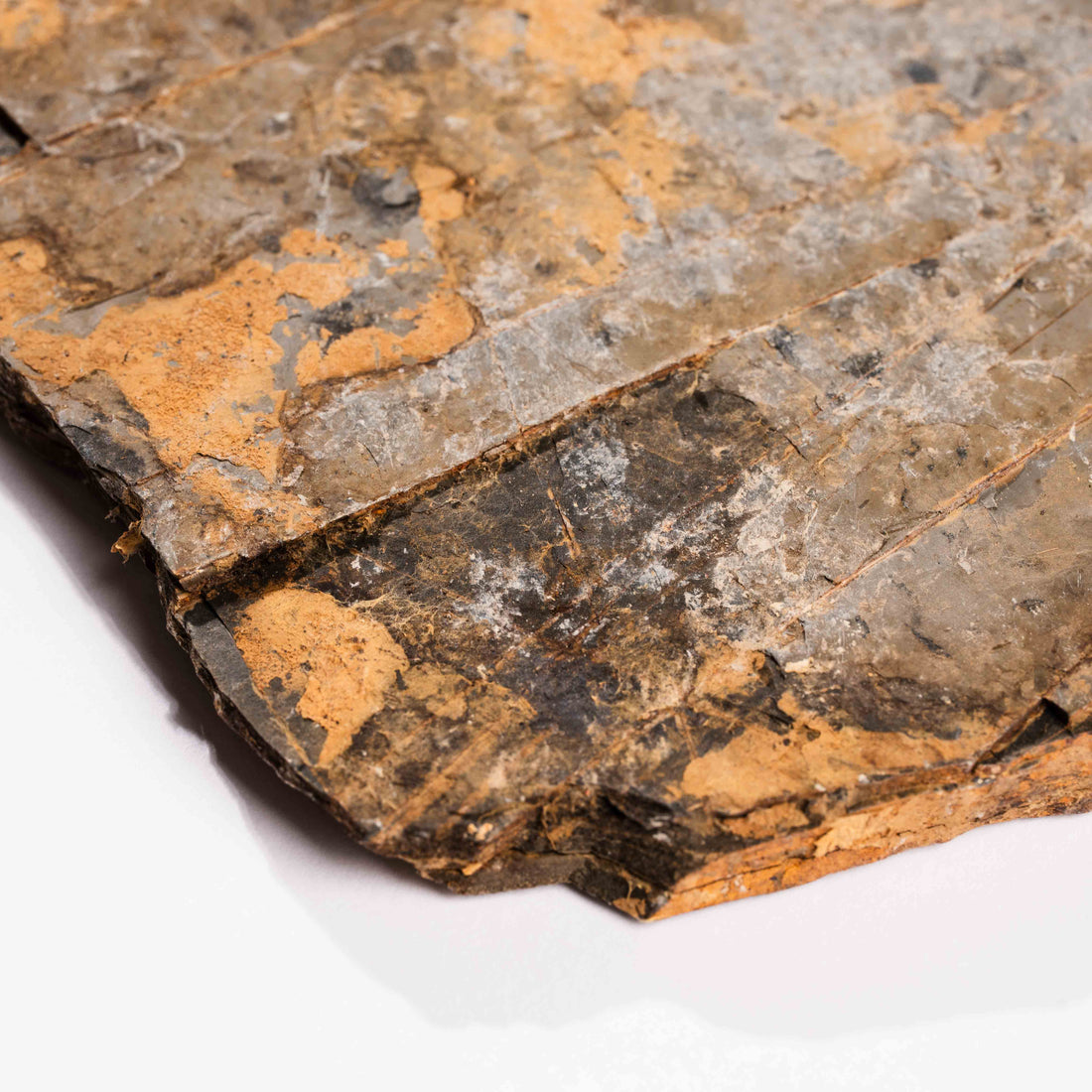 Slaty Shale Record - Earth Love Gallery Collection