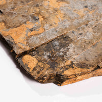Slaty Shale Record - Earth Love Gallery Collection
