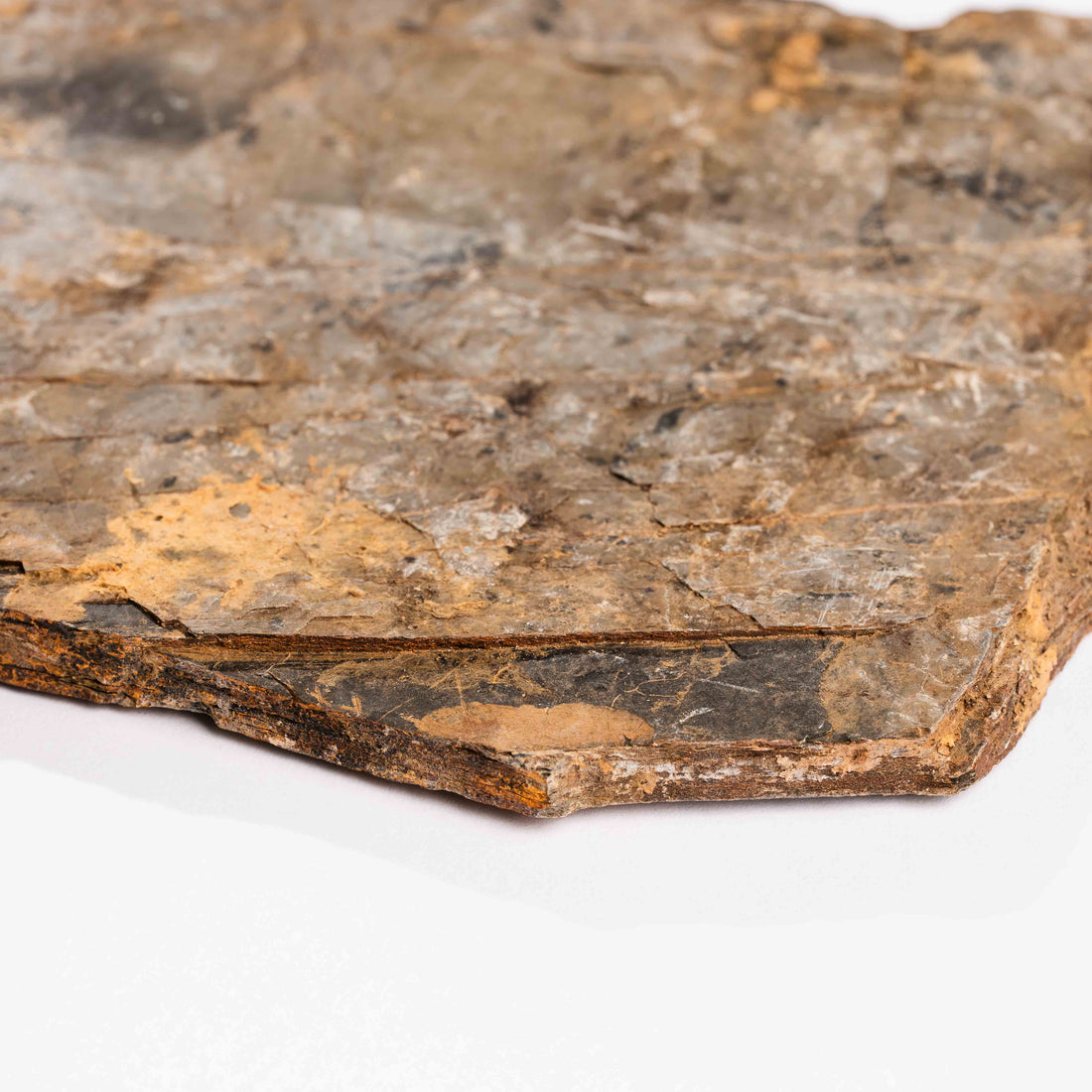 Slaty Shale Record - Earth Love Gallery Collection