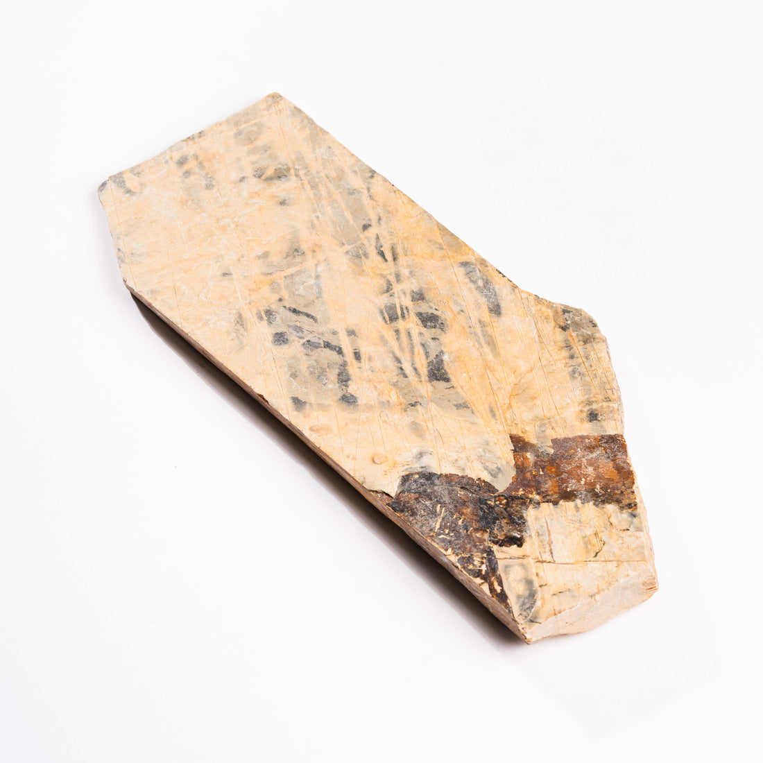 Slaty Shale Record - Earth Love Gallery Collection
