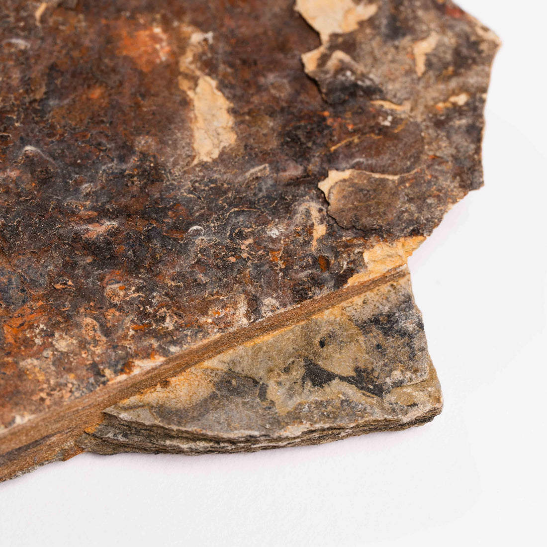 Slaty Shale Record - Earth Love Gallery Collection
