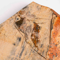 Slaty Shale Record - Earth Love Gallery Collection