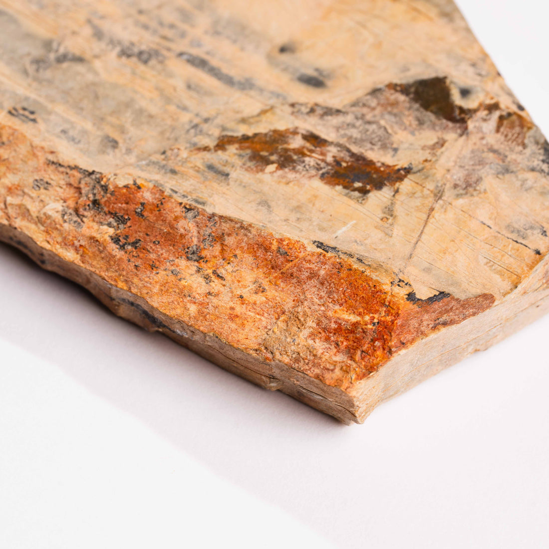 Slaty Shale Record - Earth Love Gallery Collection