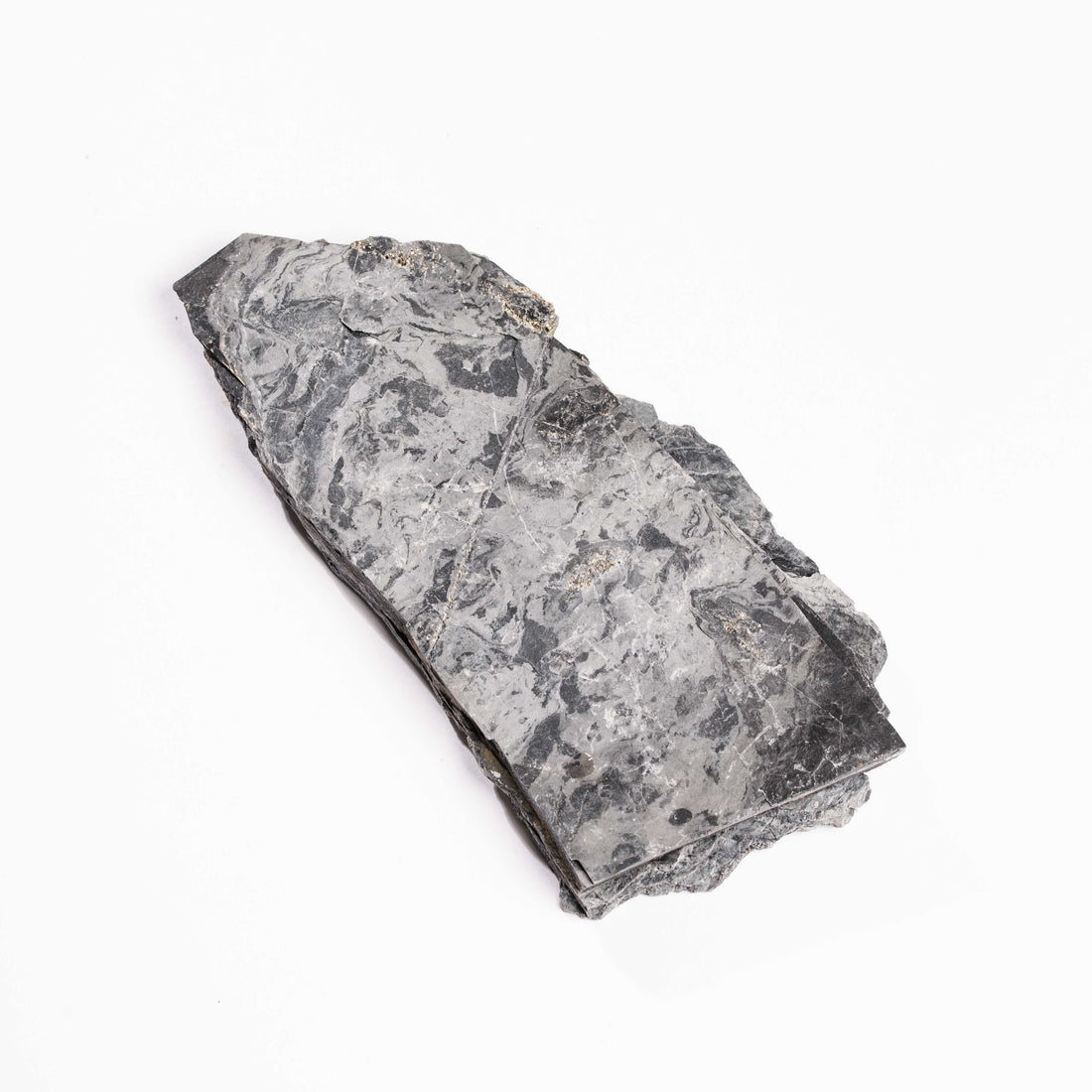 Slaty Shale Record - Earth Love Gallery Collection