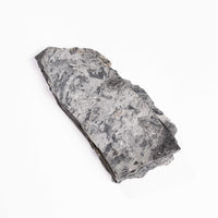 Slaty Shale Record - Earth Love Gallery Collection