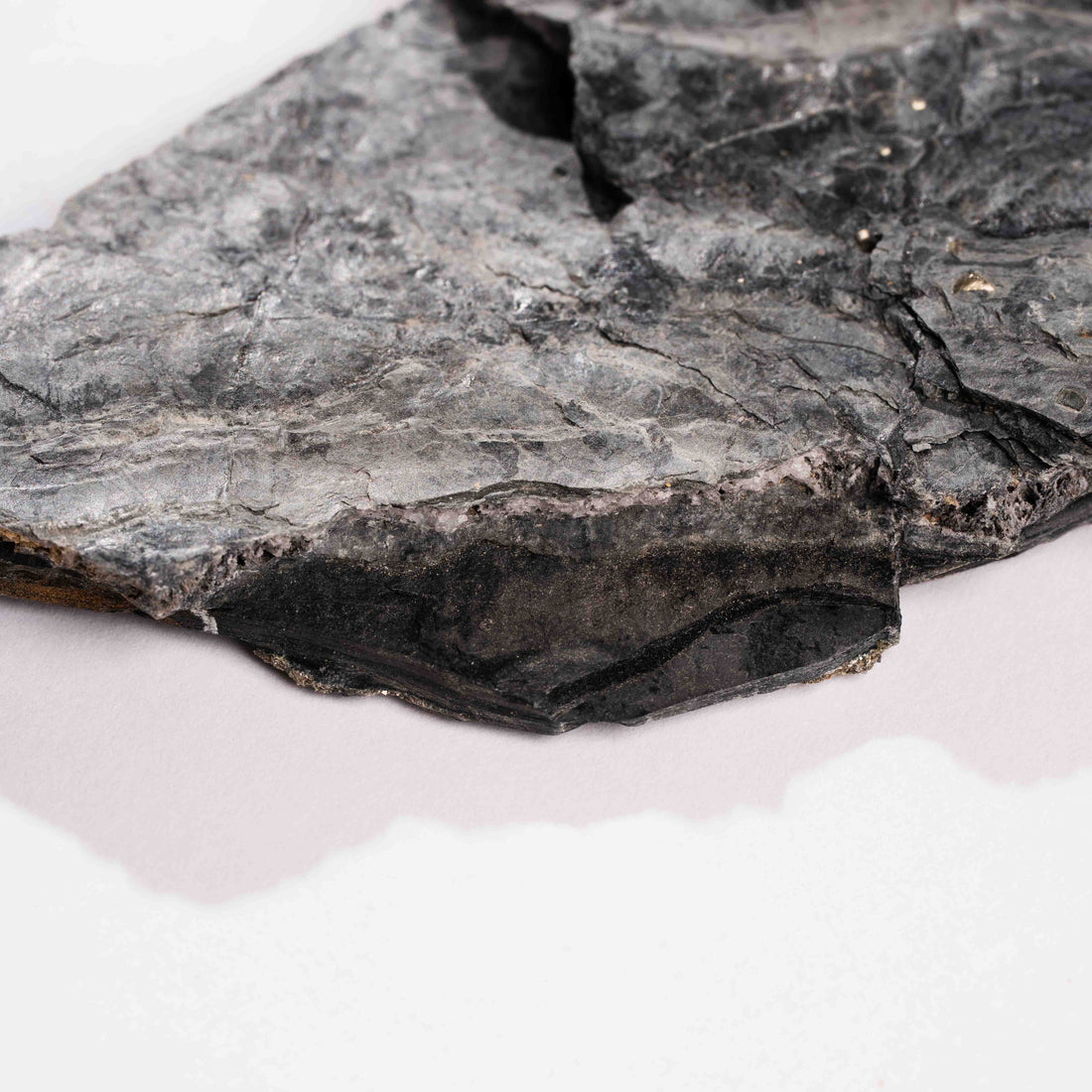 Slaty Shale Record - Earth Love Gallery Collection