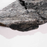 Slaty Shale Record - Earth Love Gallery Collection