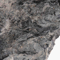 Slaty Shale Record - Earth Love Gallery Collection