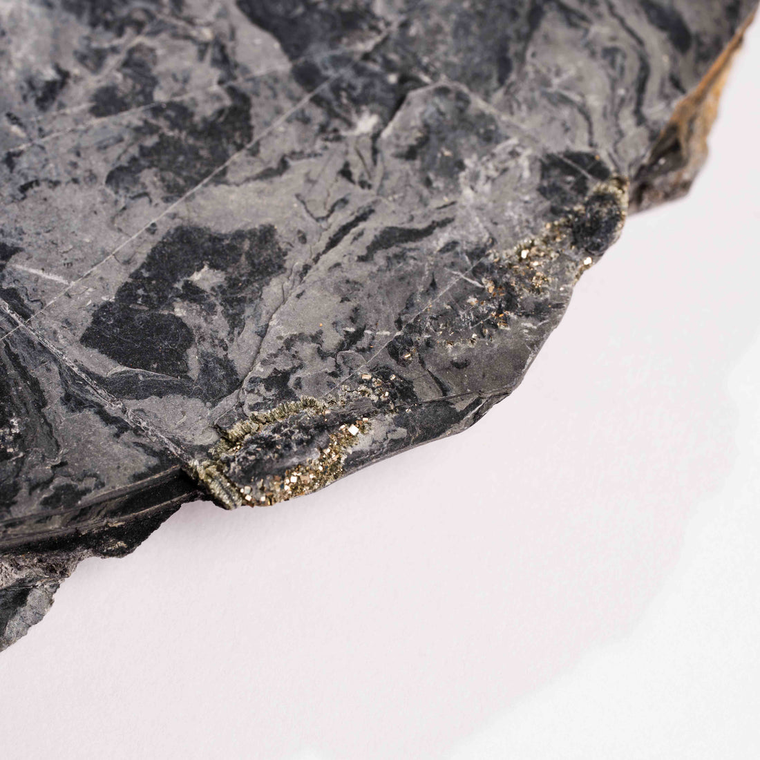 Slaty Shale Record - Earth Love Gallery Collection