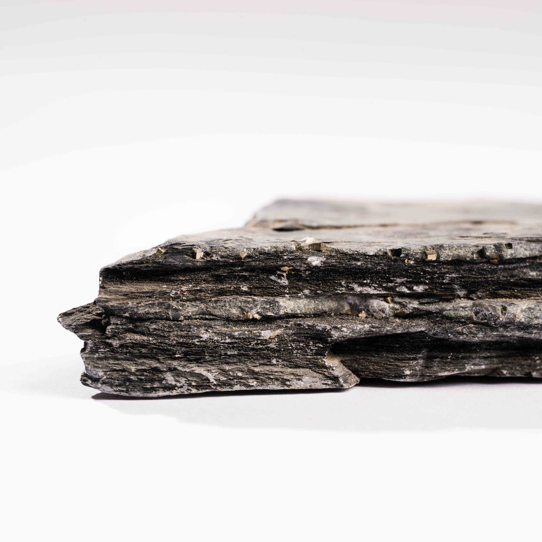 Slaty Shale Record - Earth Love Gallery Collection