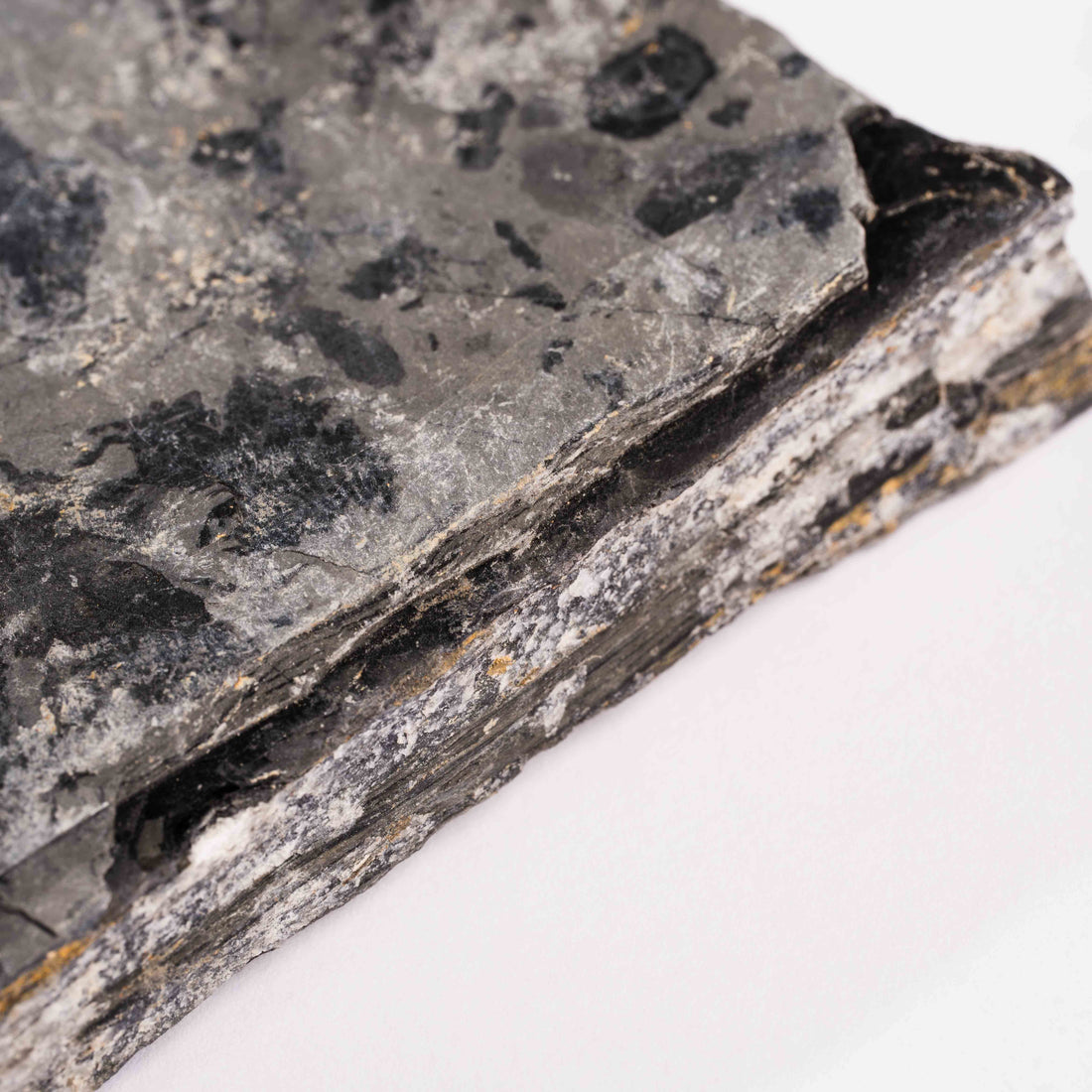 Slaty Shale Record - Earth Love Gallery Collection