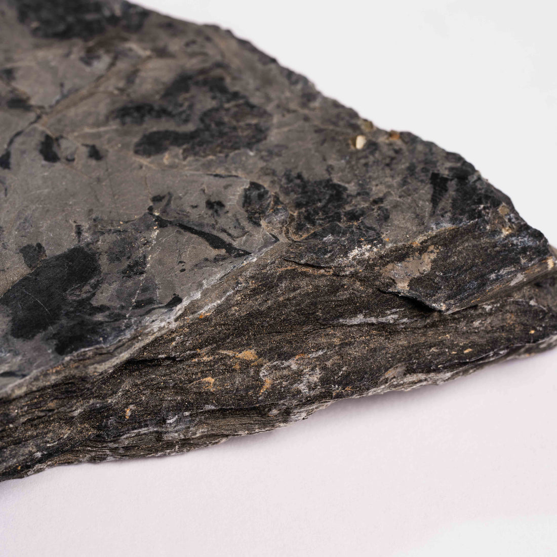 Slaty Shale Record - Earth Love Gallery Collection