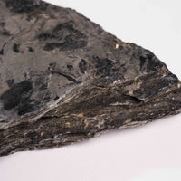 Slaty Shale Record - Earth Love Gallery Collection