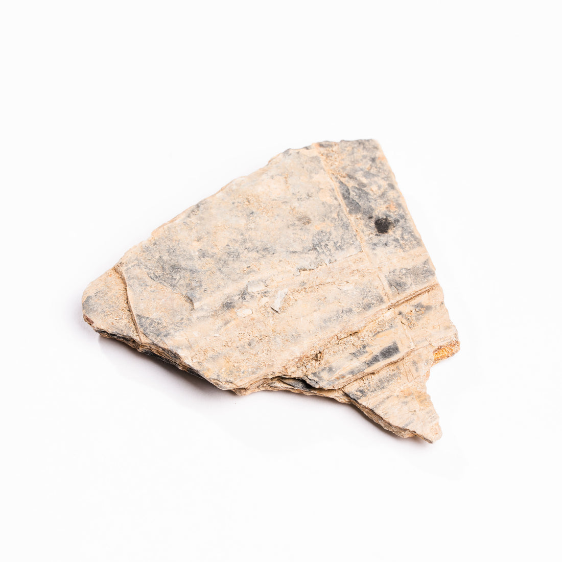 Slaty Shale Record - Earth Love Gallery Collection