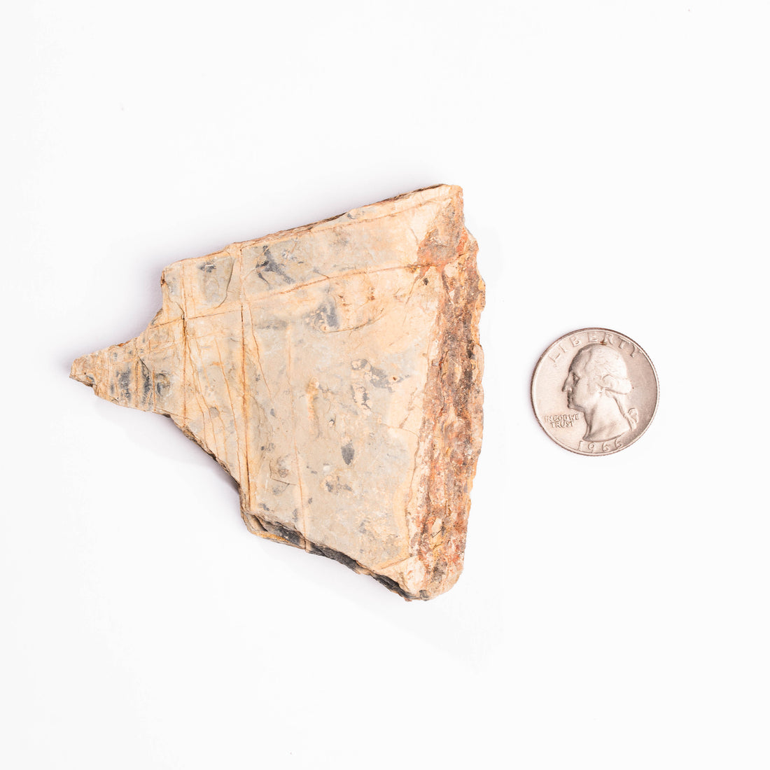 Slaty Shale Record - Earth Love Gallery Collection