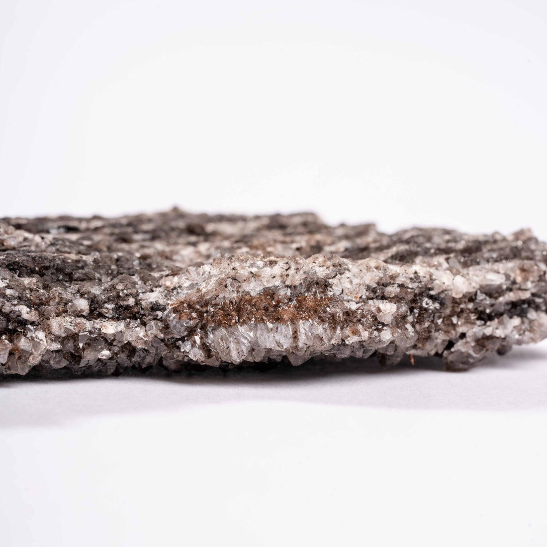 Fossilized Wood with Smoky Quartz