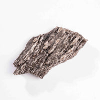 Fossilized Wood with Smoky Quartz