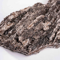 Fossilized Wood with Smoky Quartz