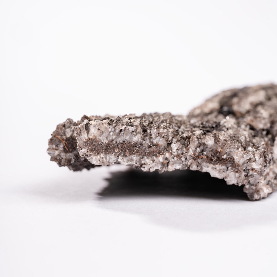 Fossilized Wood with Smoky Quartz