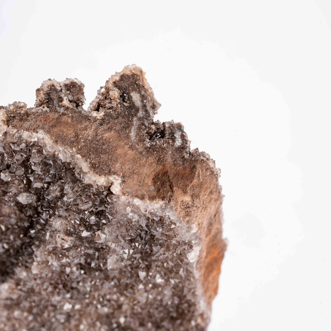 Fossilized Wood with Smoky Quartz