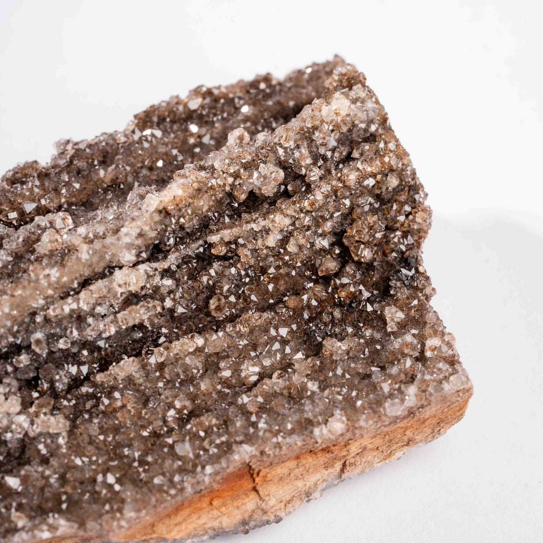 Fossilized Wood with Smoky Quartz