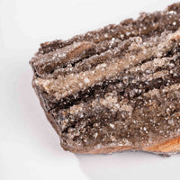 Fossilized Wood with Smoky Quartz