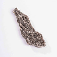 Fossilized Wood with Smoky Quartz