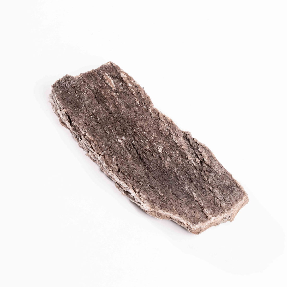 Fossilized Wood with Smoky Quartz