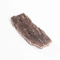Fossilized Wood with Smoky Quartz