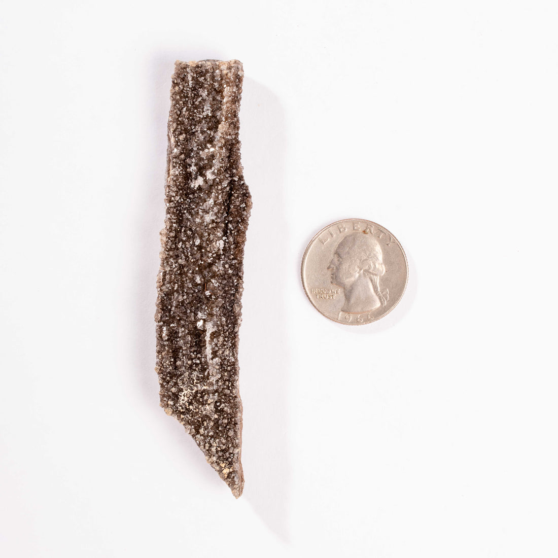 Fossilized Wood with Smoky Quartz