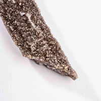 Fossilized Wood with Smoky Quartz