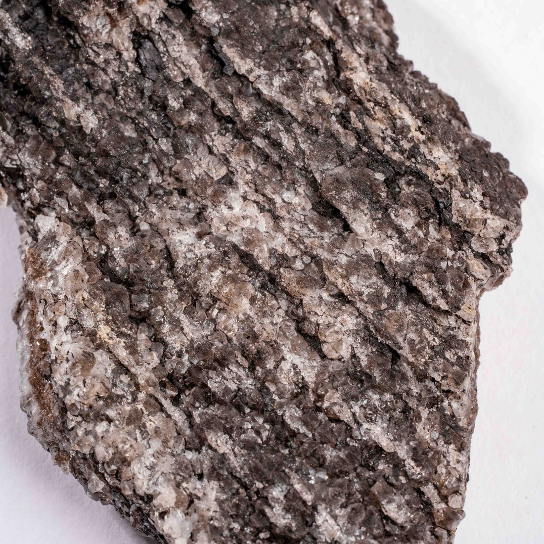 Fossilized Wood with Smoky Quartz