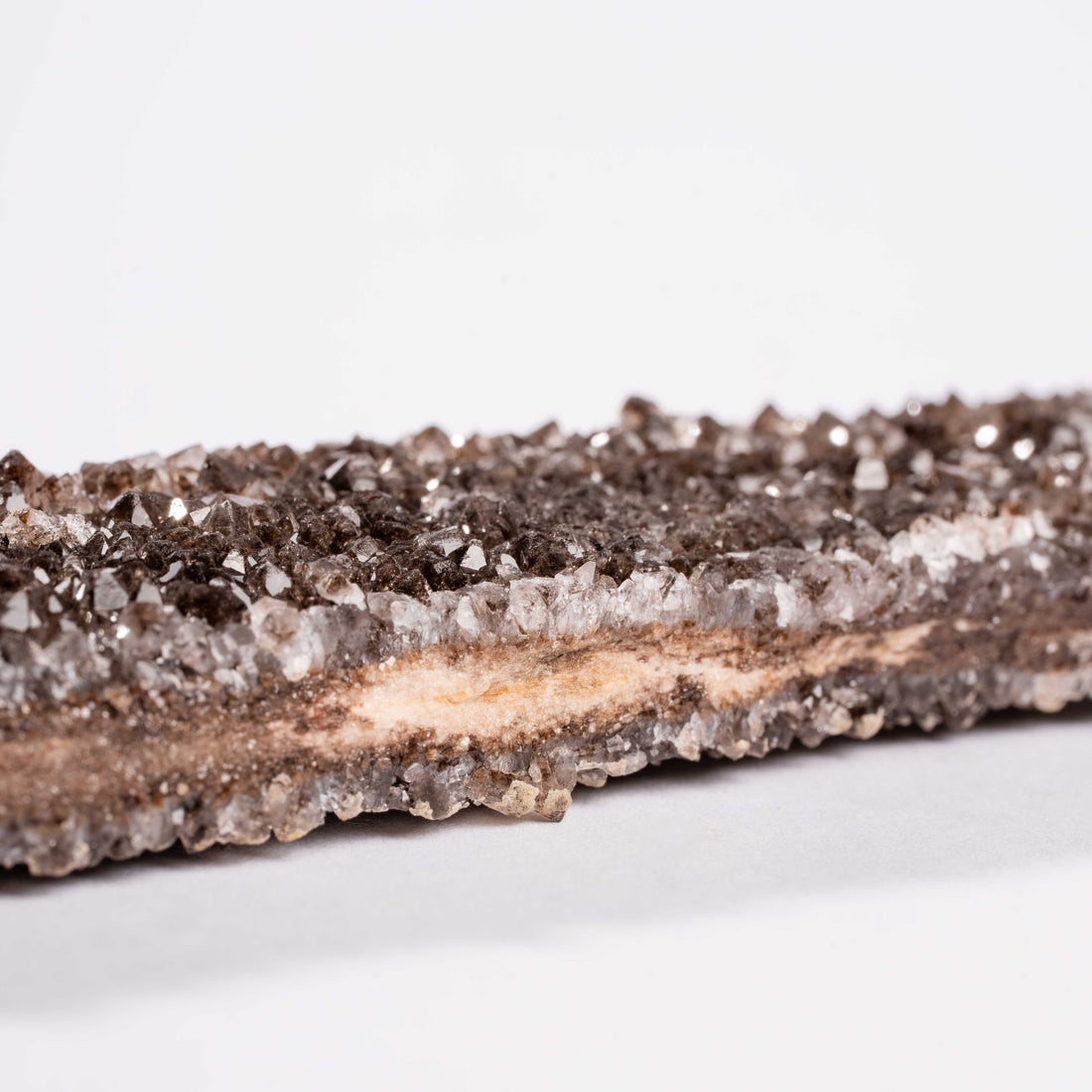Fossilized Wood with Smoky Quartz