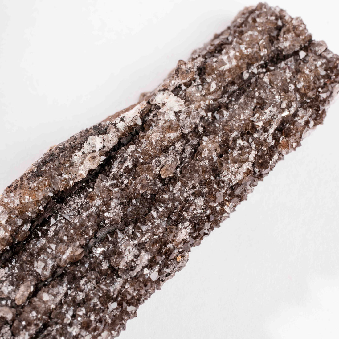 Fossilized Wood with Smoky Quartz