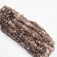 Fossilized Wood with Smoky Quartz