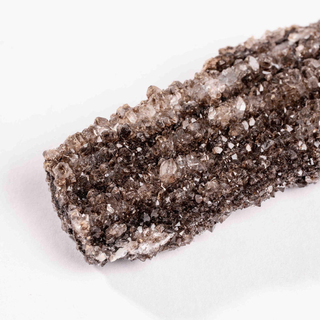 Fossilized Wood with Smoky Quartz